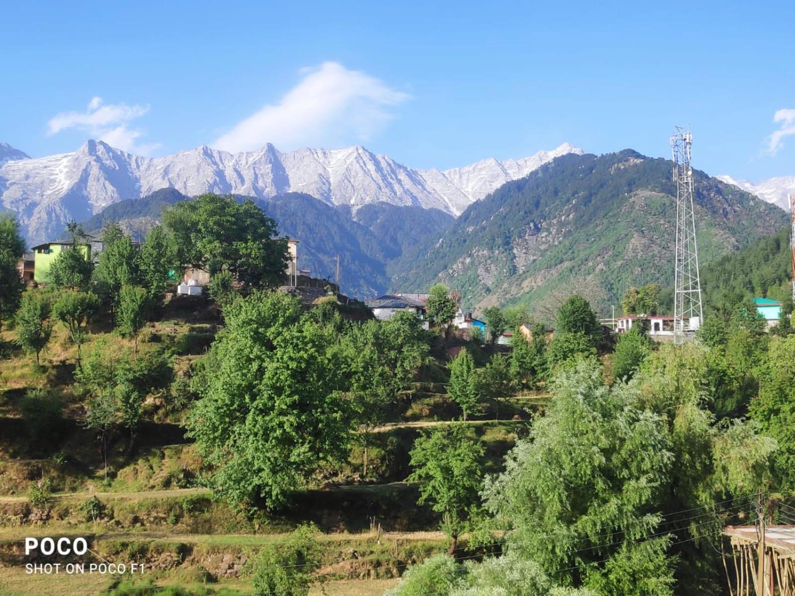 Nirmal Homestay Dharamsala Exteriér fotografie