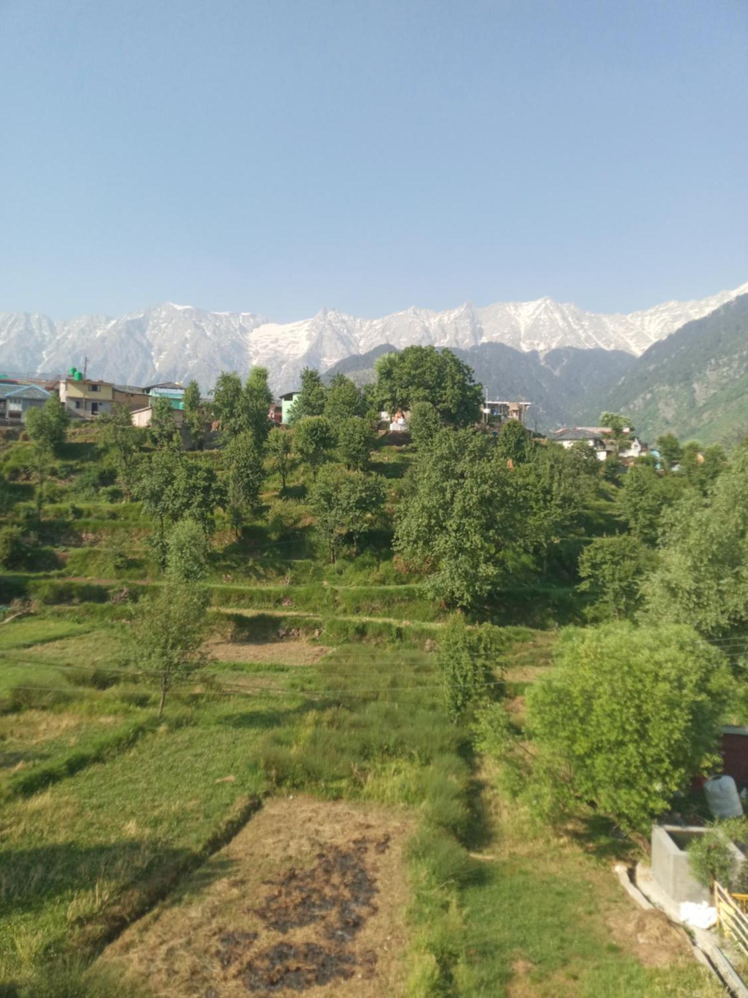 Nirmal Homestay Dharamsala Pokoj fotografie