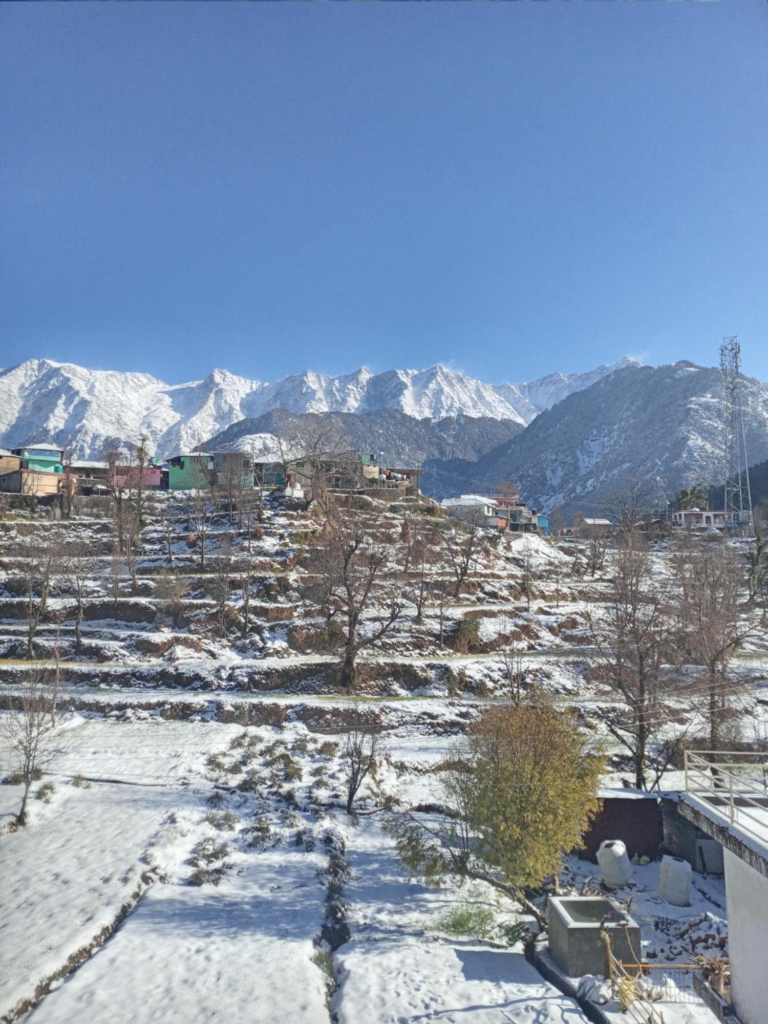Nirmal Homestay Dharamsala Exteriér fotografie