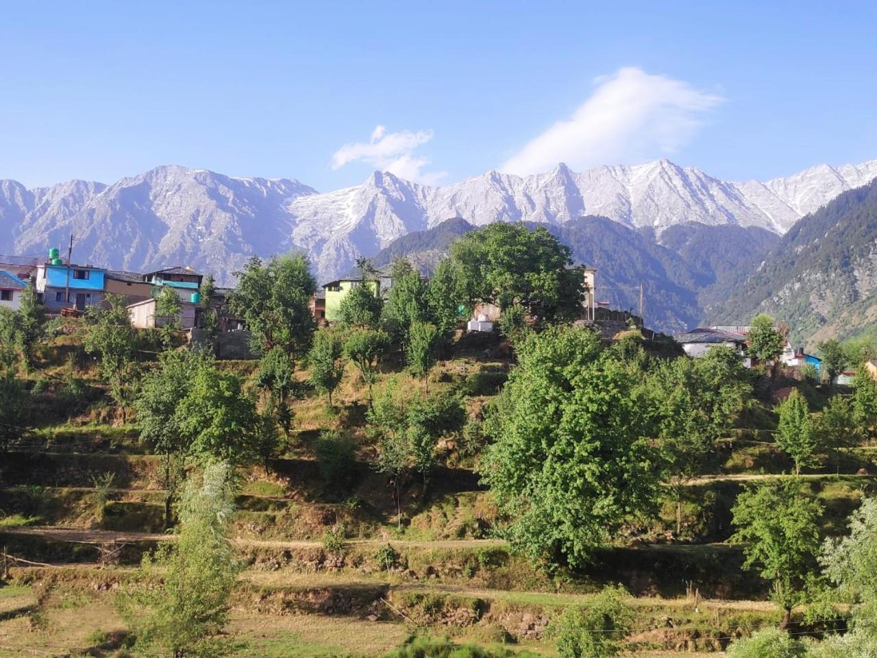 Nirmal Homestay Dharamsala Exteriér fotografie