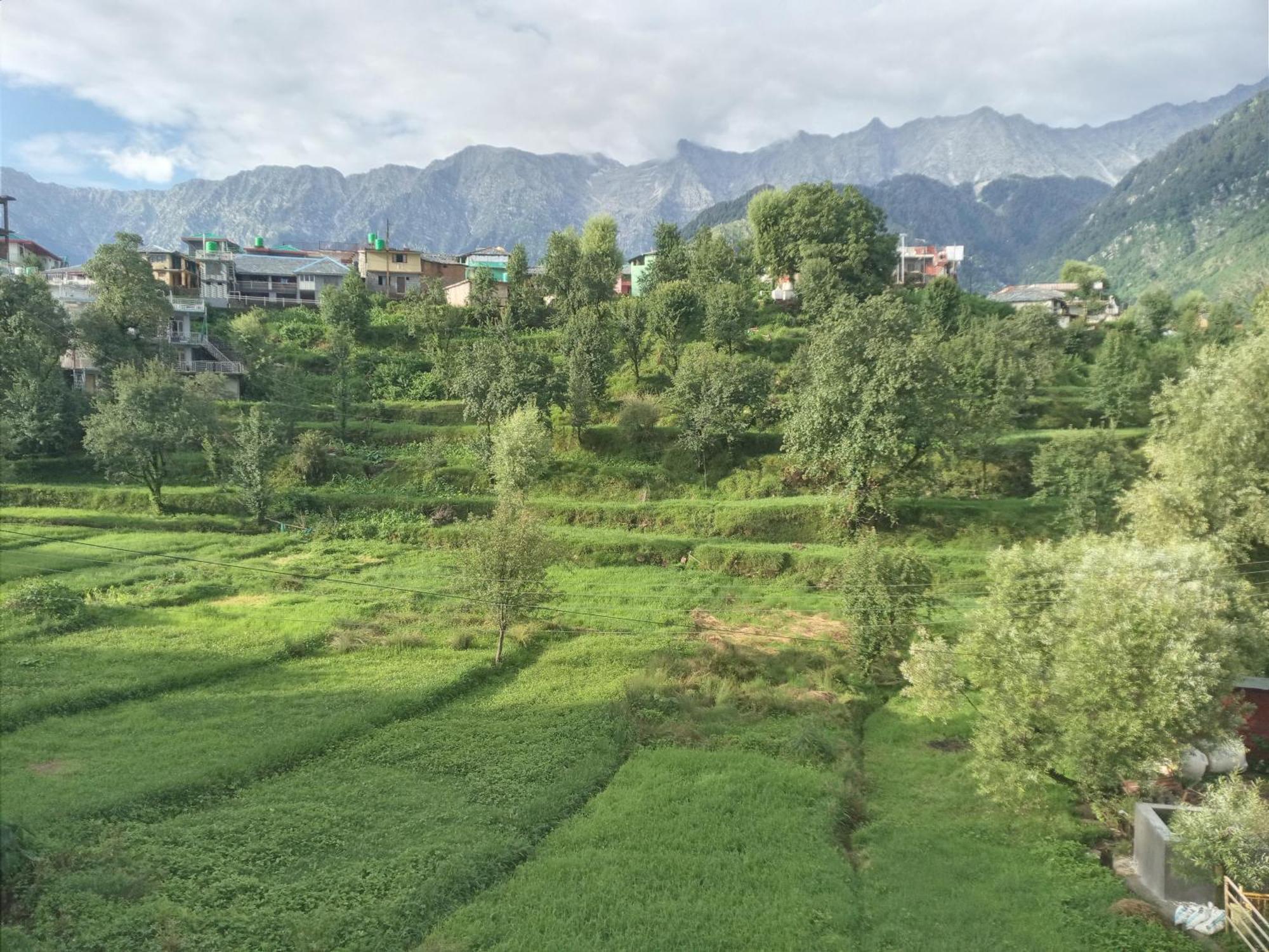 Nirmal Homestay Dharamsala Exteriér fotografie